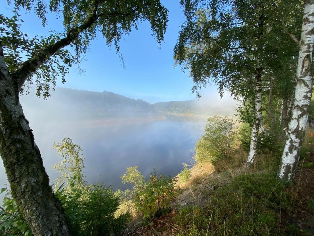 Hike & Bike Apartment Алтенау Екстериор снимка
